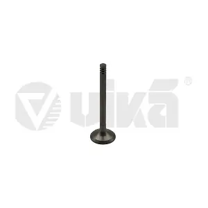 vika 11090212801