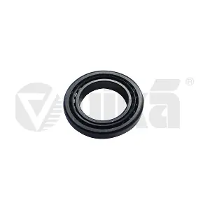 096323981P VAG