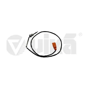 99061789501 vika