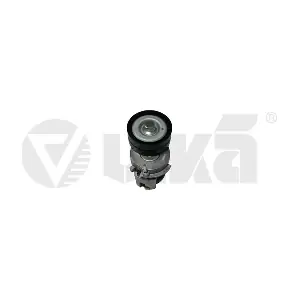vika 91450904301