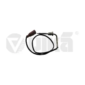 99061792701 vika