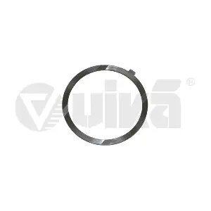 vika 11050035801
