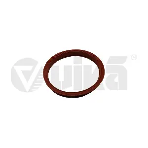 vika 99191780601