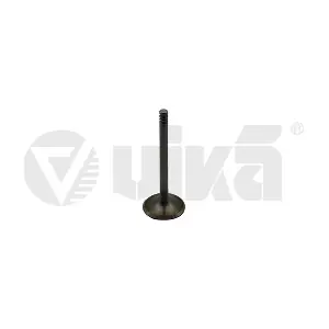 vika 11090176601
