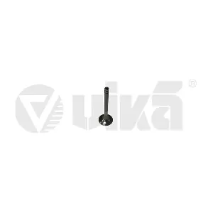 11090214001 vika