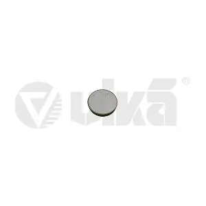 vika 65010000101