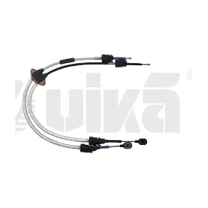 vika 77111648901