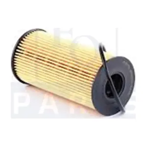 EQUAL QUALITY FO6157