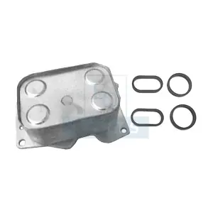 EQUAL QUALITY GOM716289