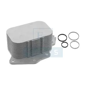 EQUAL QUALITY GOM413055