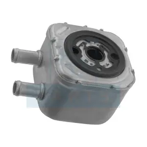 EQUAL QUALITY GOM412733