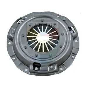 SMPL34 CLUTCHNUS
