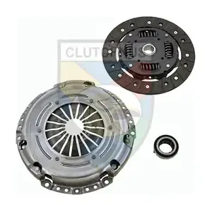 MCK1854 CLUTCHNUS