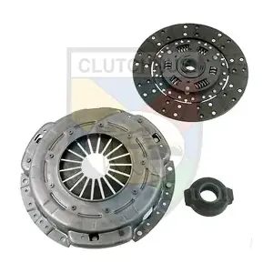 MCK0439 CLUTCHNUS