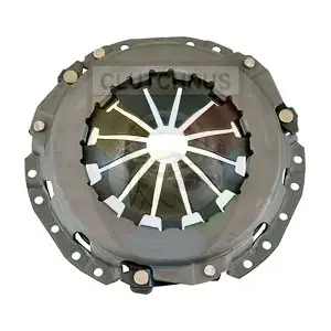 CLUTCHNUS SCPY19