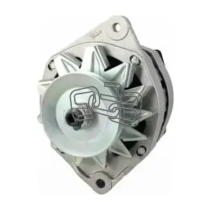 EAA EAA221309