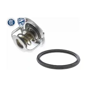1767066D01 FIAT