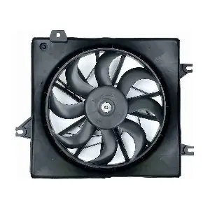 A52010006 ACKOJA
