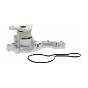 A26-50008 ACKOJA