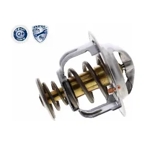 A38-99-0013 ACKOJA