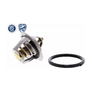 ACKOJA A53-99-0002