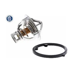 A38990005 ACKOJA
