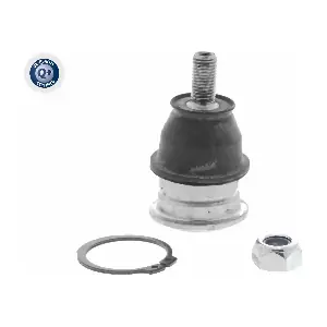 A52-1185 ACKOJA