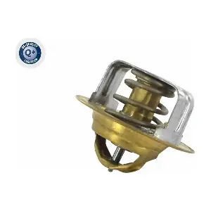 A32-99-1704 ACKOJA