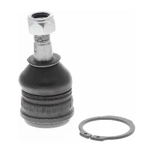 A32-1186 ACKOJA