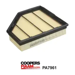PA7961 CoopersFiaam