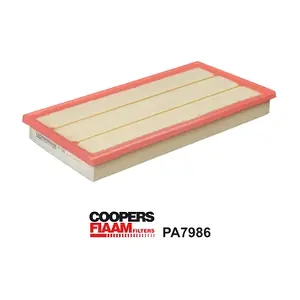 PA7986 CoopersFiaam