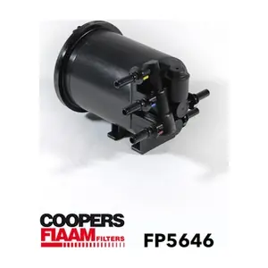 FP5646 CoopersFiaam