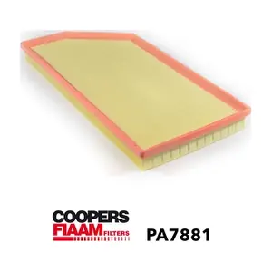 PA7881 CoopersFiaam