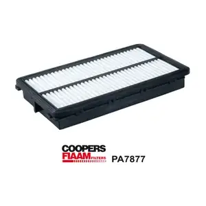 PA7877 CoopersFiaam