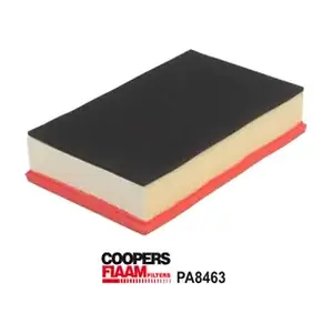 PA8463 CoopersFiaam