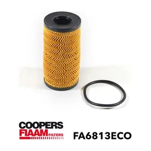 FA6813ECO CoopersFiaam