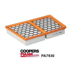PA7930 CoopersFiaam