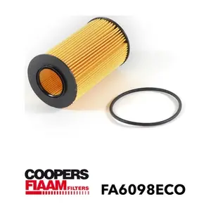 CoopersFiaam FA6098ECO