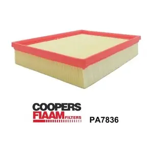 PA7836 CoopersFiaam
