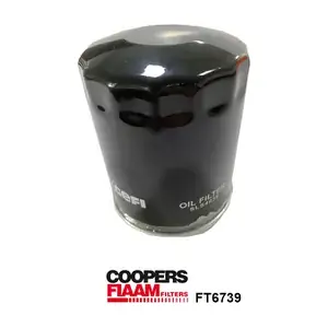 FT6739 CoopersFiaam