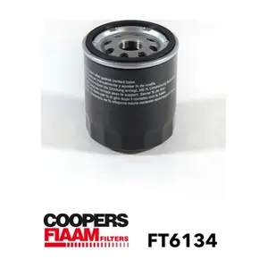 FT6134 CoopersFiaam