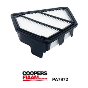 PA7972 CoopersFiaam