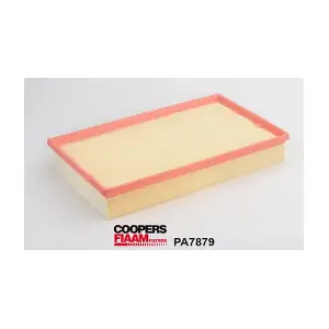 PA7879 CoopersFiaam
