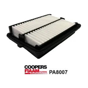 PA8007 CoopersFiaam