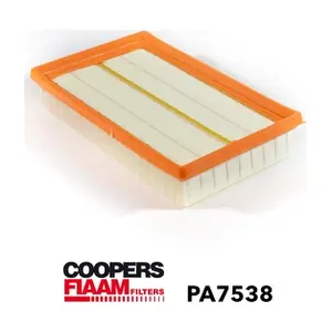 PA7538 CoopersFiaam