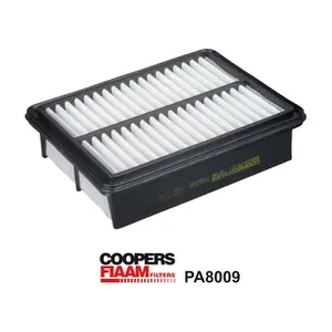 PA8009 CoopersFiaam