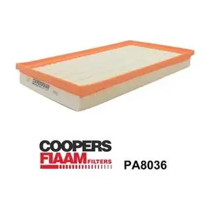 PA8036 CoopersFiaam