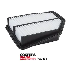 PA7838 CoopersFiaam