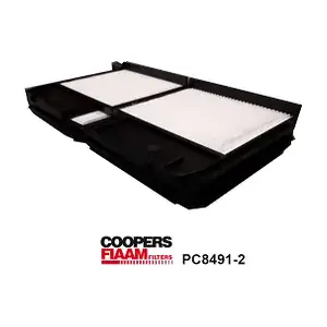 PC8491-2 CoopersFiaam