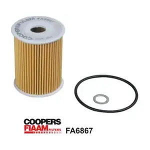 FA6867 CoopersFiaam